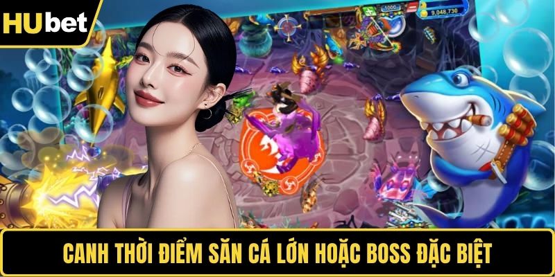 Canh thời điểm săn cá lớn hoặc boss đặc biệt