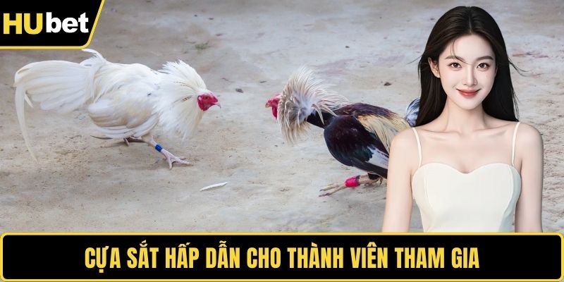Cựa sắt hấp dẫn cho thành viên tham gia
