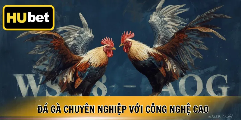 Đá gà chuyên nghiệp với công nghệ cao