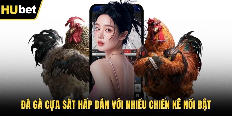 Đá gà cựa sắt