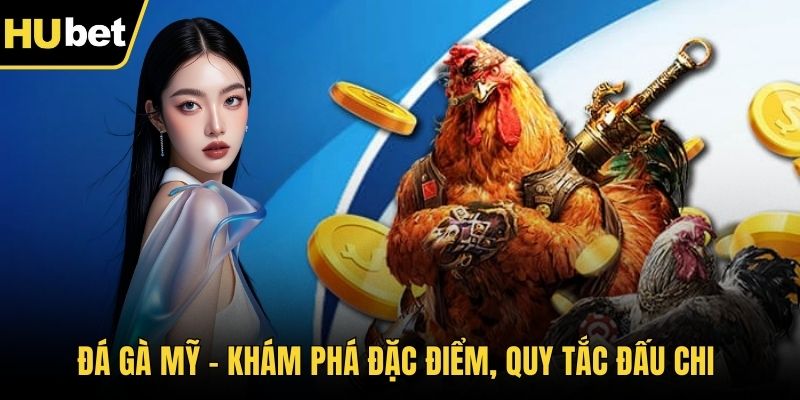 Đá gà Mỹ