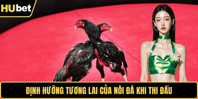 Định hướng tương lai của nòi đá khi thi đấu
