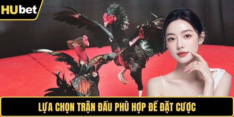 Lựa chọn trận đấu phù hợp để đặt cược