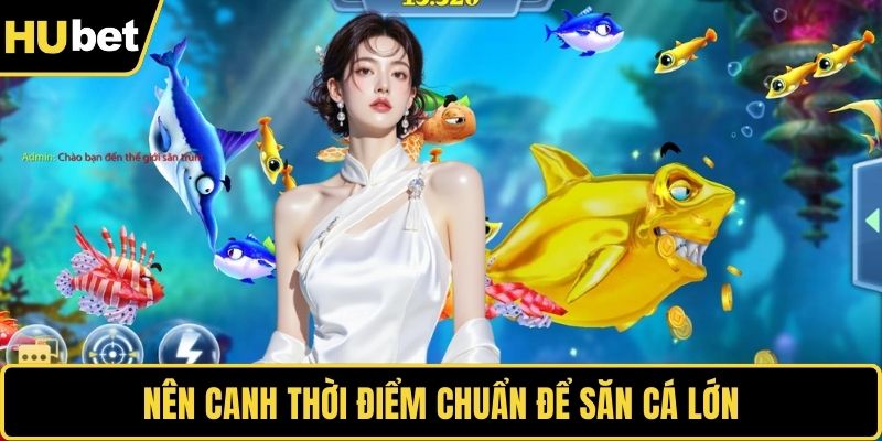 Nên canh thời điểm chuẩn để săn cá lớn