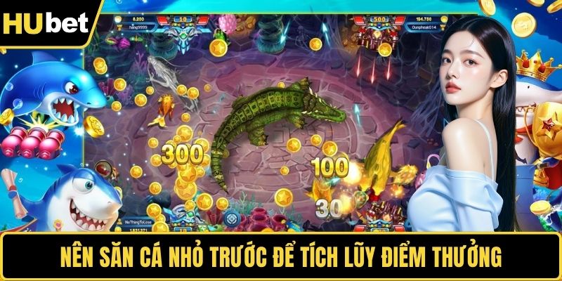 Nên săn cá nhỏ trước để tích lũy điểm thưởng