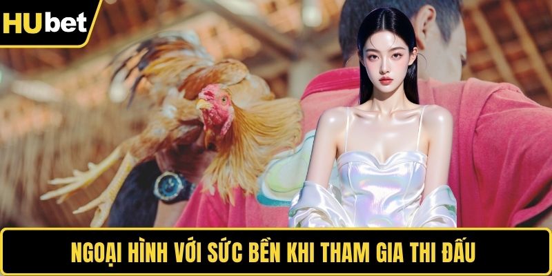 Ngoại hình với sức bền khi tham gia thi đấu 