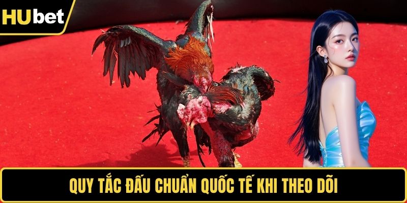 Quy tắc đấu chuẩn quốc tế khi theo dõi