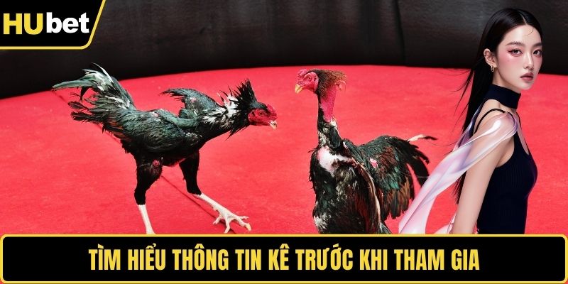 Tìm hiểu thông tin kê trước khi tham gia